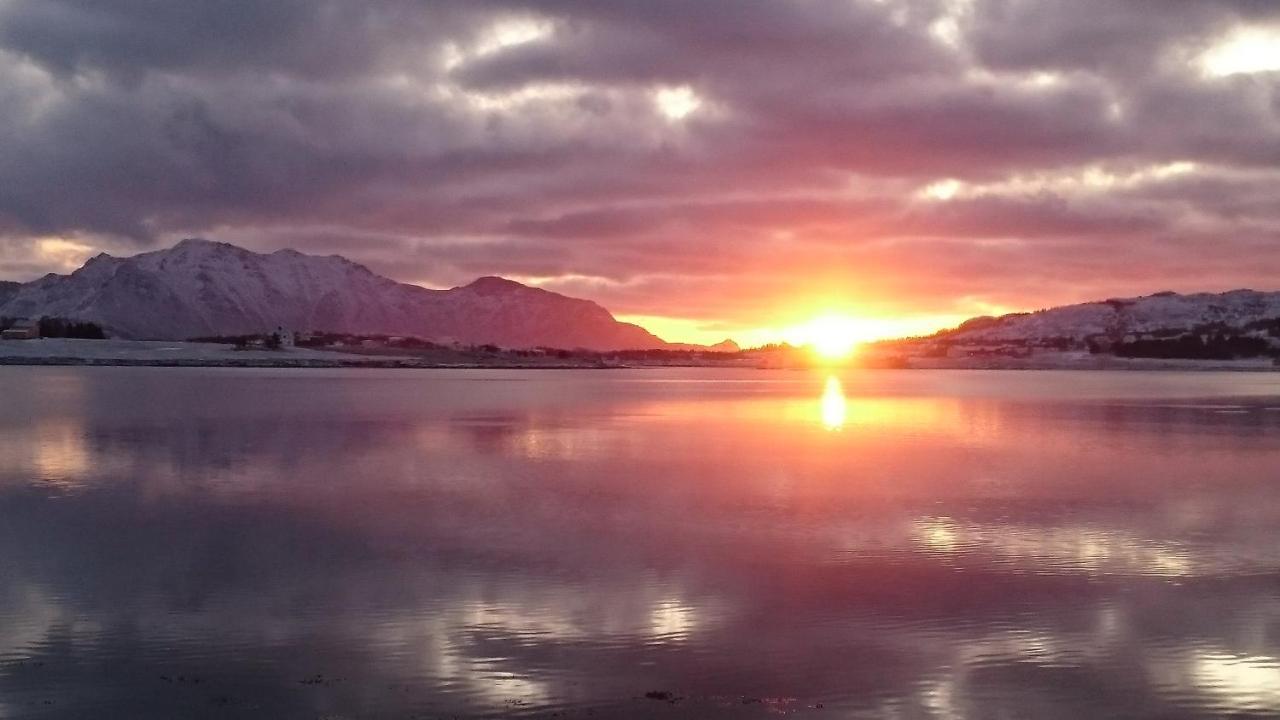 Lofothytter Lodge Offersoya